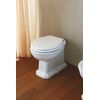 Унитаз приставной в комплекте с сиденьем Impero 0111011 Olympia Ceramica